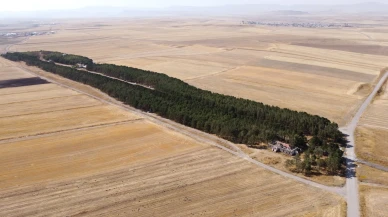 Kars’ta Benliahmet Tren İstasyonu bozkırın ortasındaki vaha olarak dikkat çekiyor