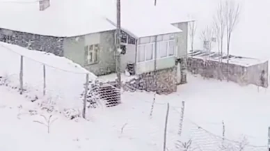 Van’ın Başkale ilçesinde kar yağışı yüksek kesimleri beyaza bürüdü