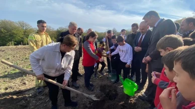 Sinop'ta 11 Kasım Milli Ağaçlandırma Günü kapsamında 3 bin 860 fidan dikildi