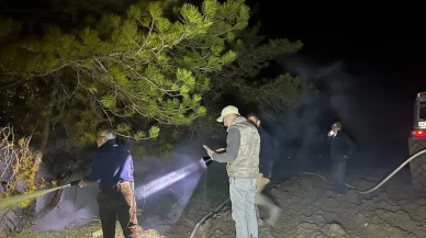 Bolu'nun Mudurnu ilçesinde ormanlık alanda çıkan yangın köylüler ve ekipler tarafından söndürüldü