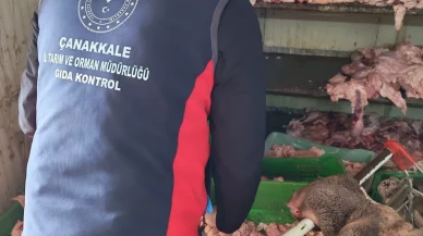 Çanakkale'de izinsiz çalışan et işletmesi denetimde mühürlendi