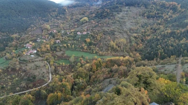 Sinop ormanlarında sonbahar renk cümbüşü doğaseverleri bekliyor