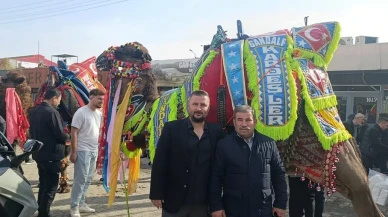 Çan’da deve güreşi sezonu havut giydirme töreniyle başladı