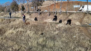 Elazığ İl Özel İdaresi Hazar Gölü çevresinde 10 ton çöp topladı