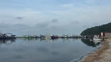 Sinop'ta hamsi avcılığında sürdürülebilirlik için denetimler artırıldı