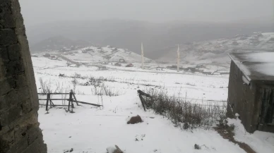 Gümüşhane'nin Kürtün ilçesinde Kadırga Yaylası kar yağışıyla beyaza büründü
