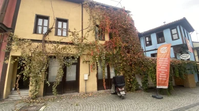 Eskişehir'de bitkilerle kaplı tarihi yapı kartpostallık manzara oluşturuyor.