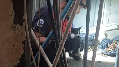 Hatay'ın Samandağ ilçesinde mahsur kalan yavru kedi itfaiye ekipleri tarafından kurtarıldı