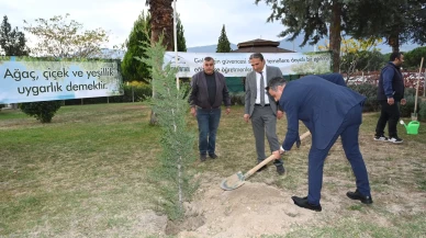 Denizli İl Milli Eğitim Müdürlüğü fidan dikme kampanyası başlattı