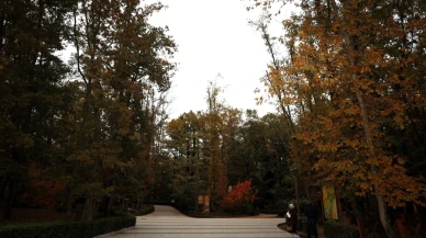 Ormanya Doğal Yaşam Parkı sonbahar renkleriyle ziyaretçilerini ağırlıyor