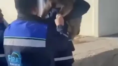 Tunceli'de bahçe çitine sıkışan yaban keçisini FEDAŞ ekipleri kurtardı