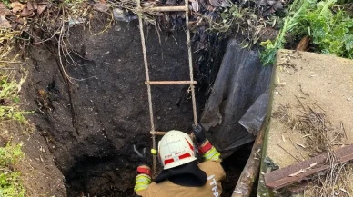 Kırkağaç'ta kuyuya düşen köpek itfaiye ekiplerince kurtarıldı