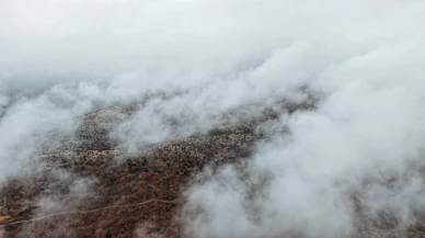 Çankırı'da sis bulutlarıyla kaplanan ormanlar kartpostallık görüntüler oluşturdu