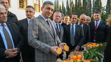Antalya'da tescillenen portakal çeşitleri dünya pazarındaki yerini aldı