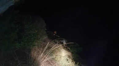 Bursa’nın Gürsu ilçesinde ormanlık alanda mahsur kalan kişi itfaiye ve AFAD tarafından kurtarıldı