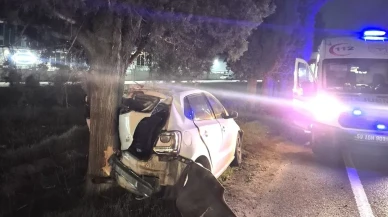 Tekirdağ'da kontrolden çıkan otomobil ağaca çarptı sürücü yaralandı