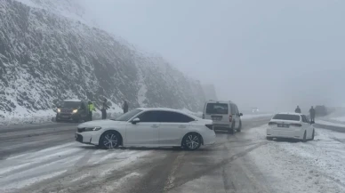 Bingöl'de kar yağışı nedeniyle araçlar yolda kaldı