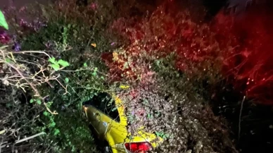 Mersin'de otomobilin üzerine devrilen ağaç sürücüyü yaralamadan kurtardı