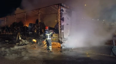 Şanlıurfa-Gaziantep Otoyolu'nda beyaz eşya yüklü tır alev alev yandı