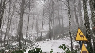 Kartepe’de Samanlı Dağları'nın zirvesinde kar yağışı devam ediyor