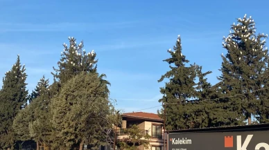 Osmaniye'nin Düziçi ilçesinde sığır balıkçıllarının kış konaklaması ilgi çekiyor