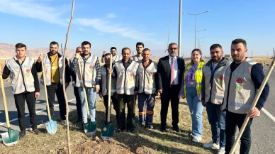 Cizre’de havalimanı yolu 450 fidan ile yeşilleniyor