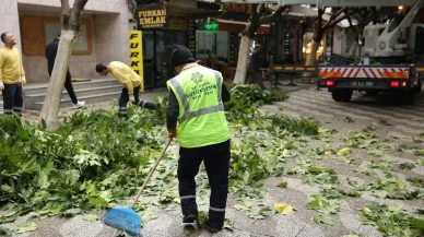 İncirliova'da sevgi yolu'ndaki ağaçlara bakım yapıldı ve çevre temizliği gerçekleştirildi