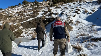 Siirt’te yaban hayvanlarına 750 kilo yem bırakıldı