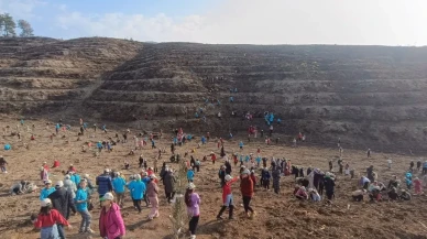 Adana'nın Kozan ilçesinde öğrenciler orman yangınında zarar gören alana fidan dikti