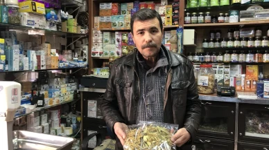 Eskişehir'de ıhlamur fiyatları iklim şartları nedeniyle rekor seviyeye ulaştı