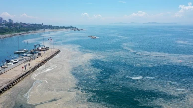 Marmara'da müsilaj tehlikesi büyüyor: Uzmanlar ulusal bir felaket için uyarıyor