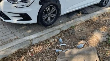 Fethiye'de domuzlar Salı Pazarı'nda araçları hedef aldı: Otomobil sahibi şokta