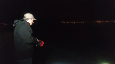 İnci kefali balıklarının tatlı suya göçü başladı: Koruma önlemleri yetersiz mi?