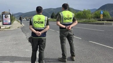 Muğla'da orman emvali kontrolleri sürüyor: Ekipler denetimlerini aralıksız sürdürüyor
