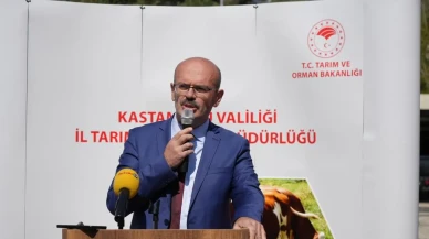 Tarımda büyük başarı: Bitkisel üretim 138 milyon tona ulaştı