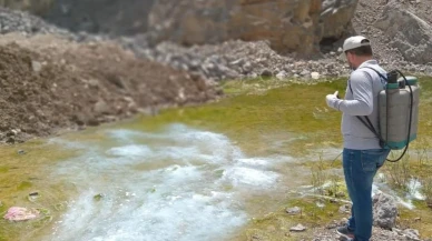 Hakkari'de yaz öncesi larva seferberliği: Hakkari belediyesi harekete geçti