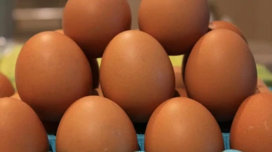 Yumurta ihracatında fon kesintisinin kaldırılması istendi: "modern yasak"