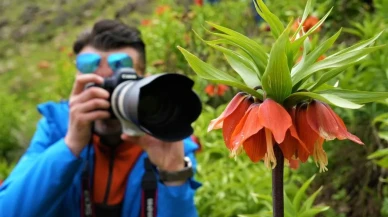 Ters laleleri görmek için 500 km yol kat eden doğaseverler: Büyüleyici manzaraya hayran kaldılar, dokunamadılar