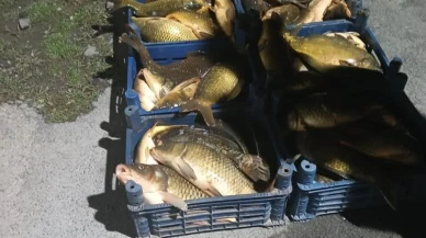 Elazığ’da kaçak avlanılan: 210 kilo balık ele geçirildi