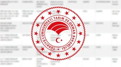 İstanbul'da büyük gıda denetimi: 35 ton peynirde usulsüzlük tespit edildi