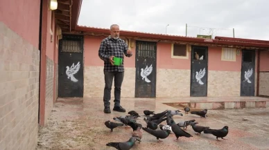 Isparta'da 'Güvercin Apart' ile yükselen tutku: 42 yıllık hobi profesyonelliğe dönüştü mü?