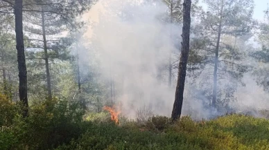 Osmaniye'de ormanlık alanda yangın: Hummalı çalışmalar sonrası kontrol altına alındı