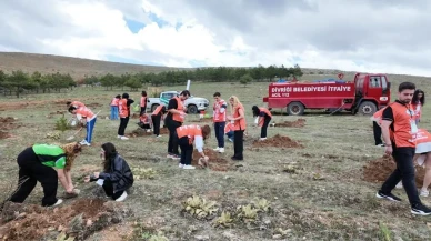Divriği'de gençlerden ‘yeşil izler': 100 fidan toprakla buluştu