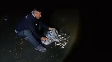 Van'da İnci kefali göçü başladı: 60 kilo balığa el konuldu