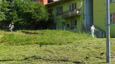 Körfez'de yabani otlarla mücadele sürüyor: Park ve bahçelerdeki çalışmalar devam ediyor