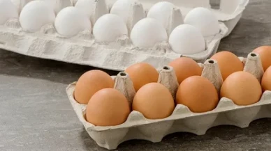 Yumurta fiyatları tavan yaptı: İhracat, kış verimsizliği ve Ramazan etkisiyle fiyatlar yükseldi