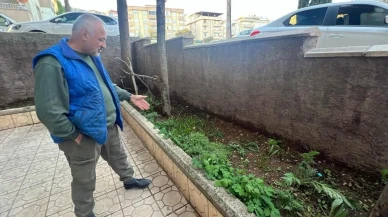 Kahramanmaraş'ta bitkilere adanmış hayat: Mustafa Uludağ, frekansını dinlediği bitkileri şifa kaynağı olarak kullanıyor