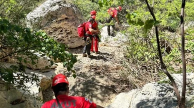 Fethiye'de kaybolan Ateş köpeği dereden kurtarıldı