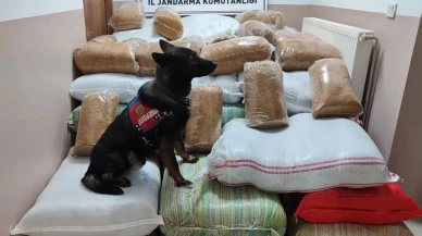 Kayseri'de Jandarmadan büyük başarı: 1,5 ton kaçak tütün ele geçirildi