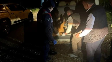 Yaralı karaca Gümüşhane jandarması tarafından kurtarıldı